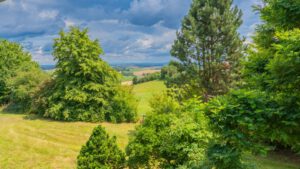 OG - Aussicht vom Balkon