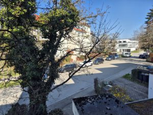 Blick von der Küche