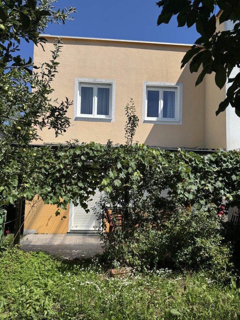 Ansicht von Garten aus