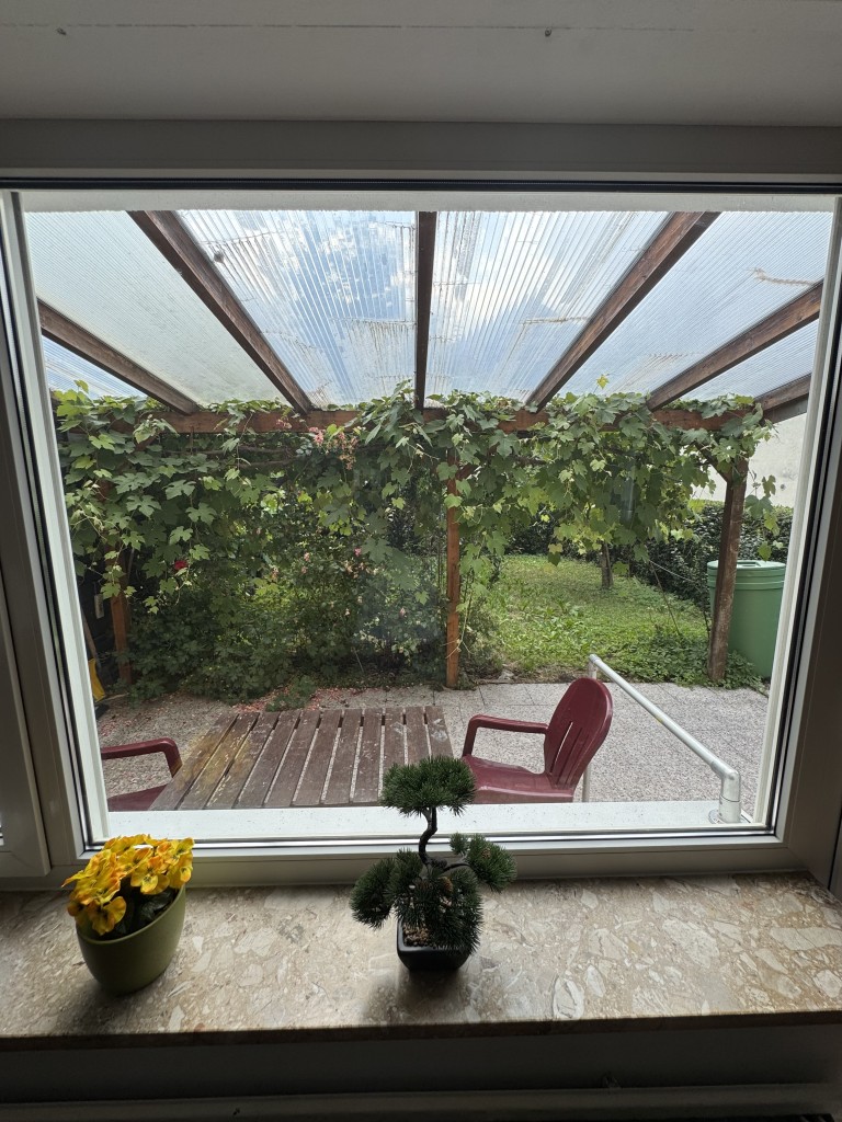 Blick auf Terrasse