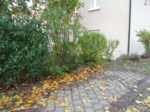 Stellplatz oberirdisch