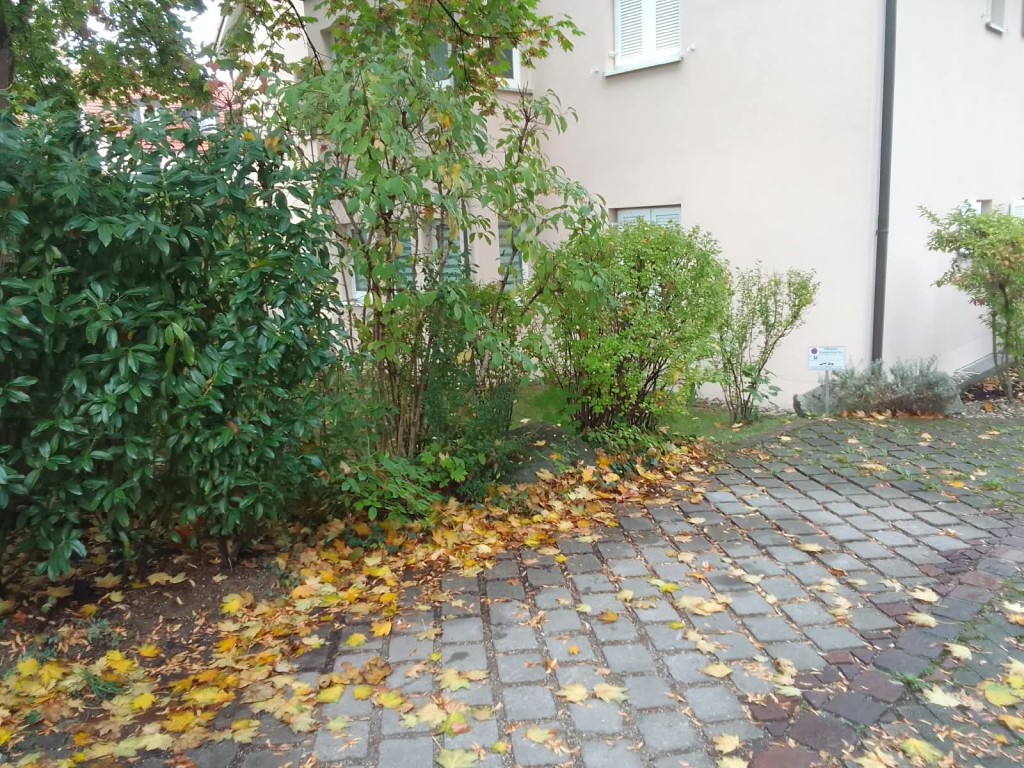 Stellplatz oberirdisch